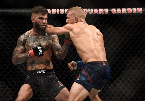 tj dillashaw vs cody garbrandt 1|cody garbrandt baby mama.